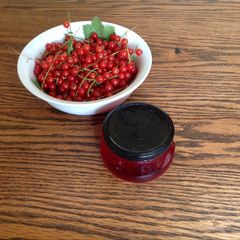 A picture of Redcurrent jelly.
