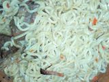 Pepper soup noodles