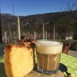 Bica gallega