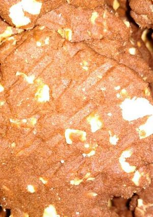 Foto resep Oatmeal Choco Cinnamon Cookies