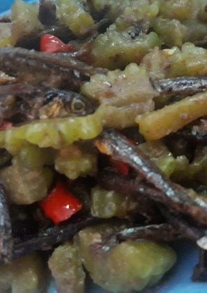 Foto resep Pare Tumis Teri