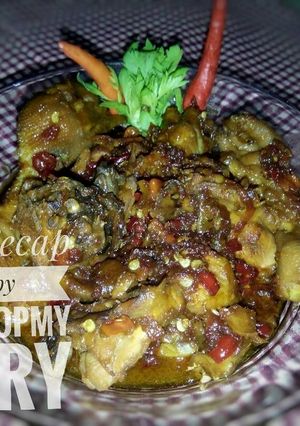 Foto resep Ayam kecap pedas