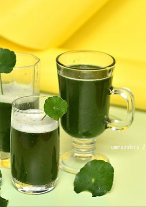 Foto resep Jus pegagan plus jeruk lemon