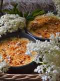 Crèmes brûlées à la fleur de sureau