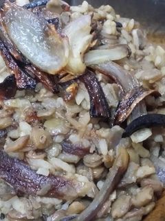 صورة لوصفة مجدرة