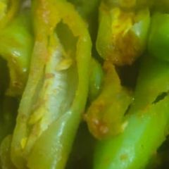 A picture of Green chilli pickle.