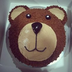 Chocolate teddy cake A picture of Chocolate teddy cake.