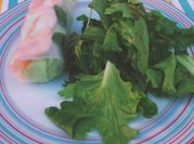 Une photo de salade haricot mungo