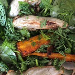 A picture of Carrots, fennel and baby spinach.
