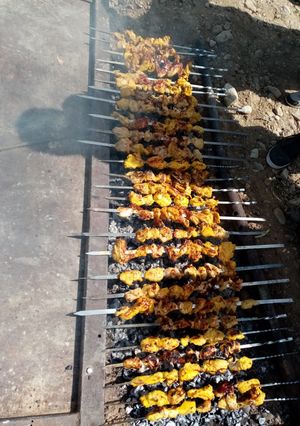 عکسی از دستور جوجه کباب 13بدر
