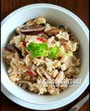 Baby Bella Mushroom Fried Rice