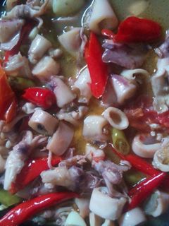 Foto resep Tumis cumi asin