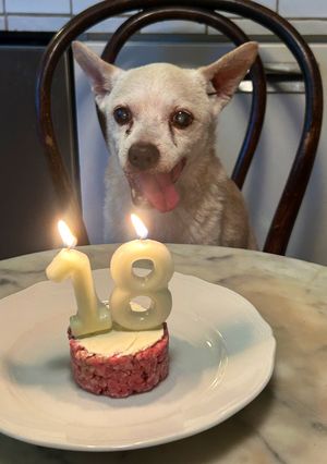 Foto di Una torta per una giornata speciale