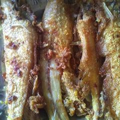 Pabda fish fry A picture of Pabda fish fry.