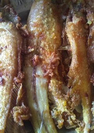 A picture of Pabda fish fry.