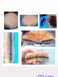 Foto resep Martabak manis