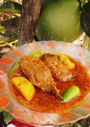 বোয়াল মাছের ঝাল(Boyal macher jhal recipe in bengali) রেসিপির প্রধান ছবি