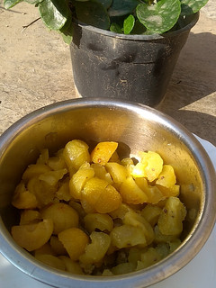 आंवला कैंडी (Awla candy recipe in Hindi) रेसिपी मुख्य फोटो