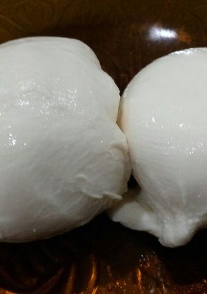 Foto resep Homemade Italian Mozzarella