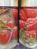 In Salzwasser fermentierte Tomaten mit Kräutern
