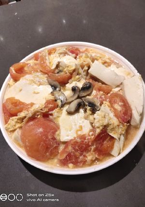 A picture of Tofu and Tomato in Sauce.
