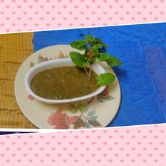 A picture of Basil leaves (Tulsi ke patte) Ki chutney.