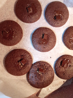 A picture of Double Chocolate Chip Cookies.