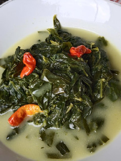 Foto resep Sayur santan Daun Singkong "ndeso"