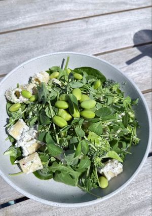 A picture of Shredded Chicken Salad with Cottage Cheese Dressing.