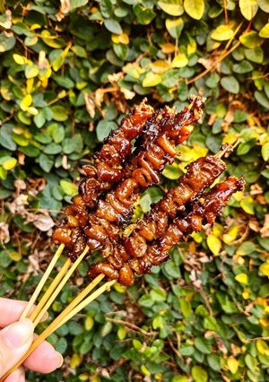 Foto resep Sate Kulit Ayam