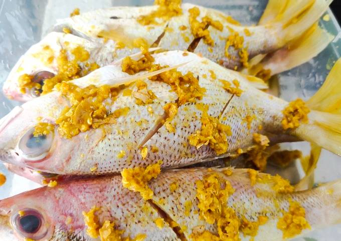 Ikan ekor kuning bumbu sederhana stok freezer