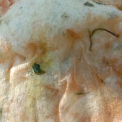 A picture of Bhatura.