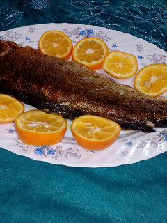 عکسی از دستور ماهی قزل آلا