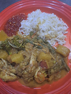 A picture of Mild Dairy-free Kashmiri Chicken Curry.