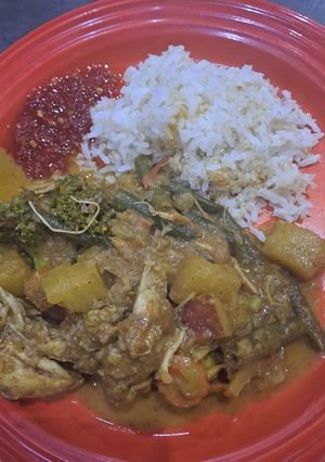 A picture of Mild Dairy-free Kashmiri Chicken Curry.