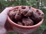 Galletitas de chocolate y pasas de uva 🍪