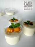 Plain Yoghurt Homemade