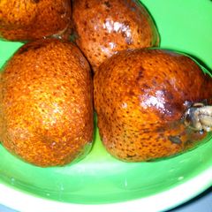 A picture of Cooked (doum palm fruits) goruba🥰.