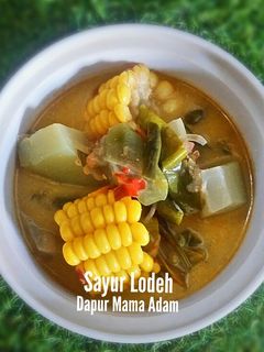Foto resep Sayur Lodeh