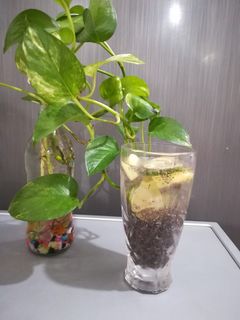عکسی از دستور ❤️پانچ سیب و دانه چیا