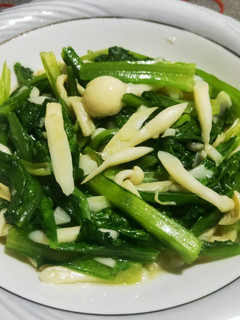 蒜香A菜炒精靈菇 的食譜成品照片