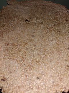 તલ ની ચીકી(Tal Chikki Recipe in Gujarati) રેસીપી મુખ્ય ફોટો