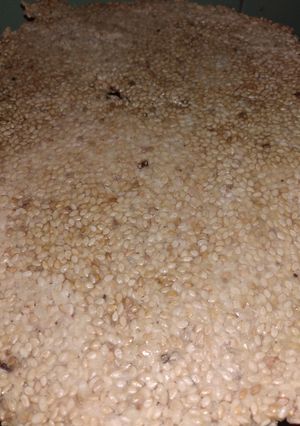 તલ ની ચીકી(Tal Chikki Recipe in Gujarati) રેસીપી મુખ્ય ફોટો