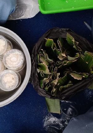 Foto resep Tape ketan manis