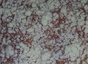 Una foto de Torta rusa (rübbel kuchen)
