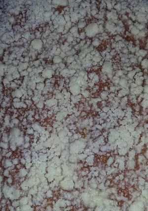 Una foto de Torta rusa (rübbel kuchen)