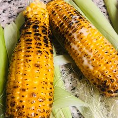 A picture of Butter soft sweet corn/ Corn on the Nob.