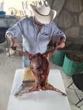 Cabrito al pastor