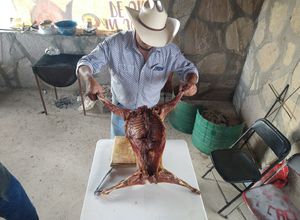 Una foto de Cabrito al pastor