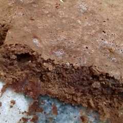 A picture of Brownie.